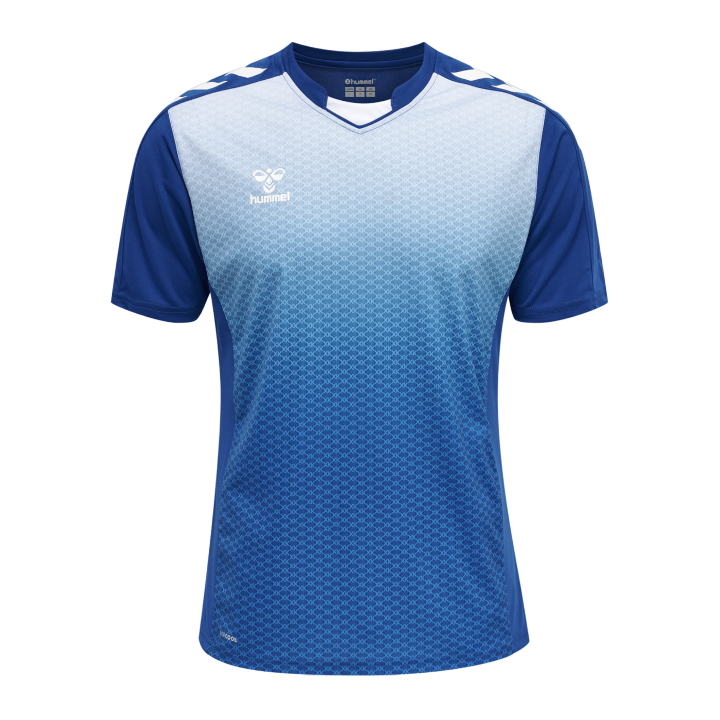 Hummel hmlCORE XK Sublimation Trikot Blau F7045