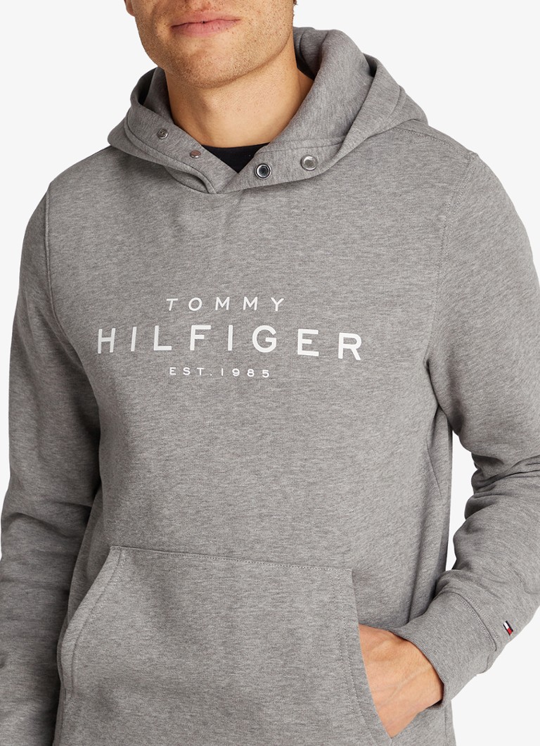 Tommy Hilfiger Hoodie with logo print