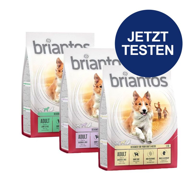 Probierpaket Briantos Adult 3 x 1 kg zu TOP-Preisen