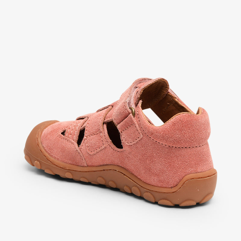 flynn blush - Rose