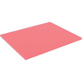 345mm x 275mm x 10mm Boden Shadownboard rot