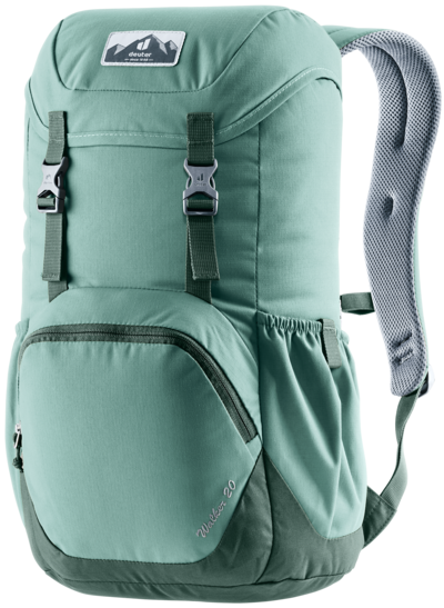 Walker 20