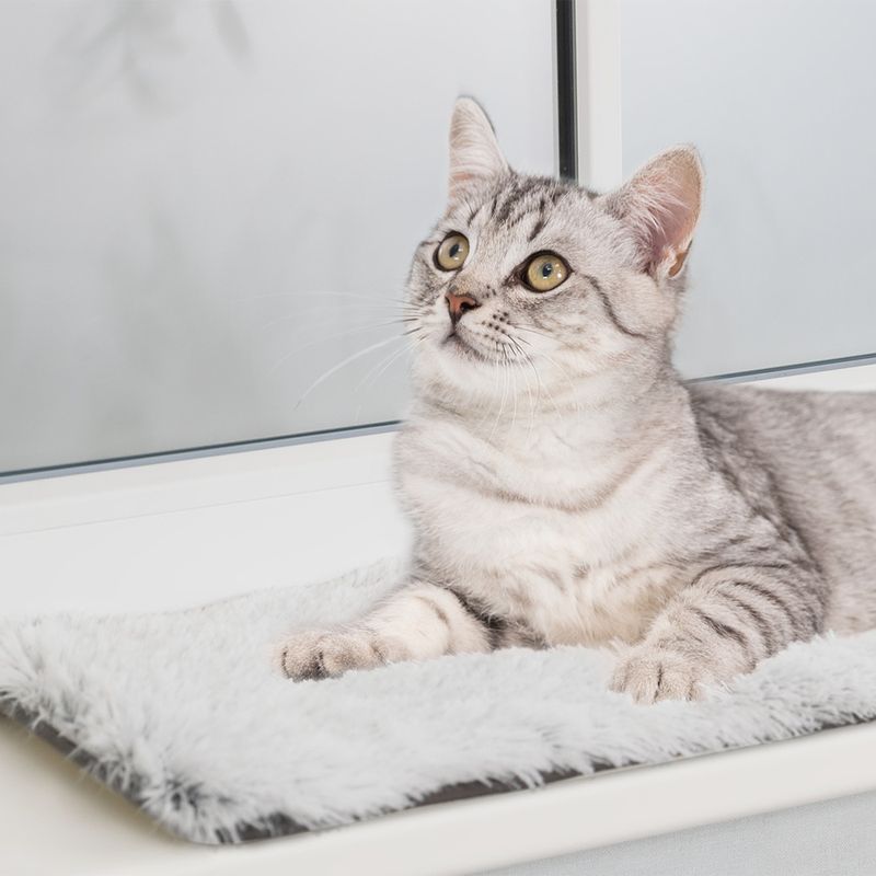 Trixie Liegematte Harvey für Fensterbank zu TOP-Preisen | bitiba
