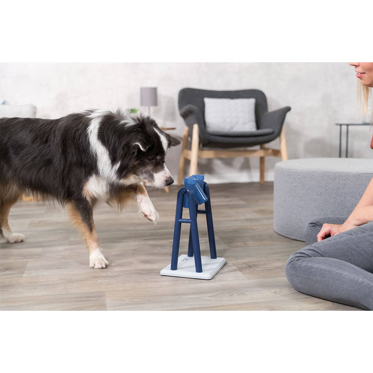 Trixie Dog Activity Hundespielzeug Turn Around bei ZooRoyal