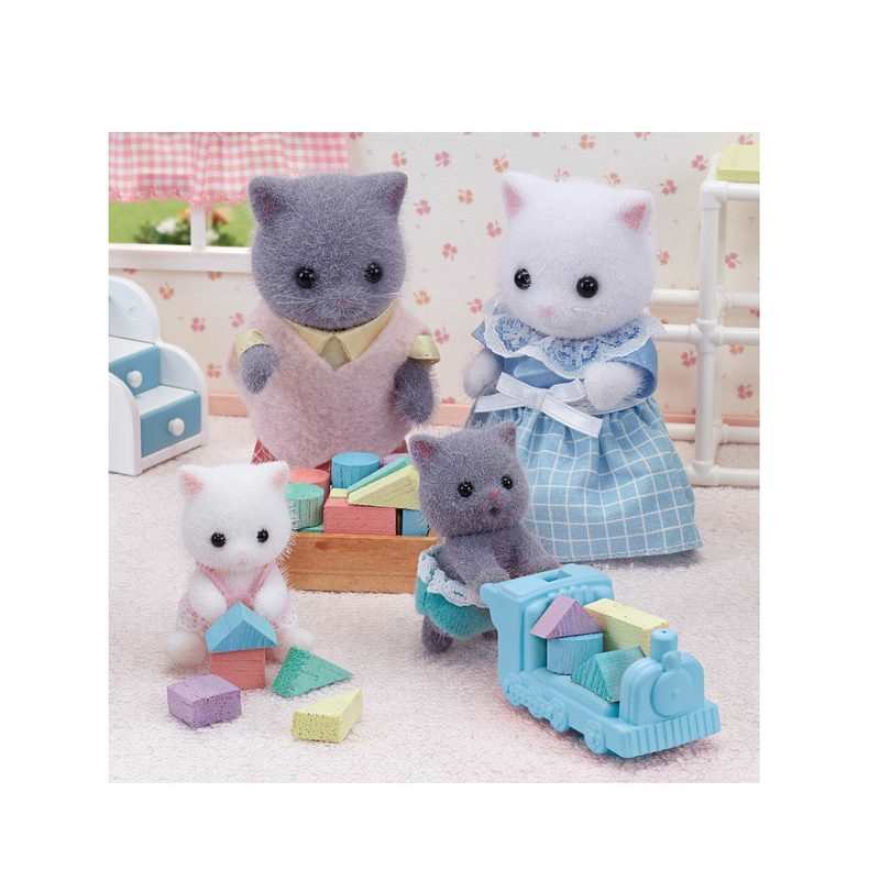 5457 Les jumeaux chat persan