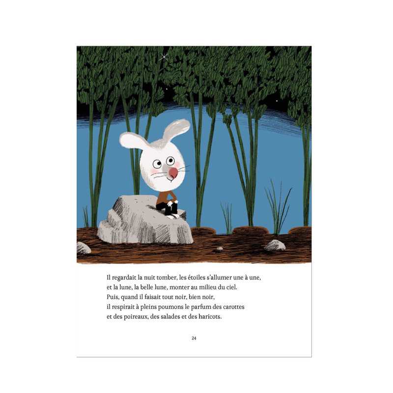 Livre Petites histoires du Père Castor pour s'endormir - Flammarion