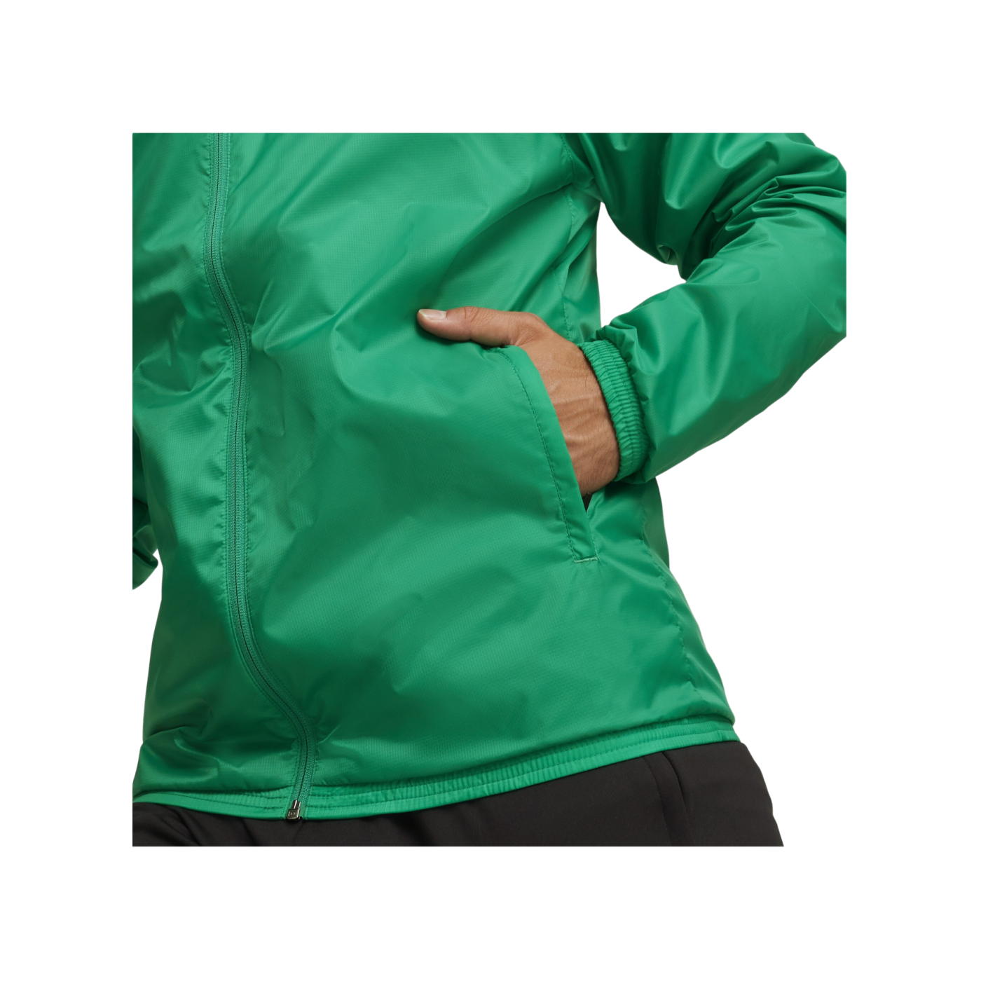 PUMA teamGOAL Allwetterjacke Grün Weiss F05