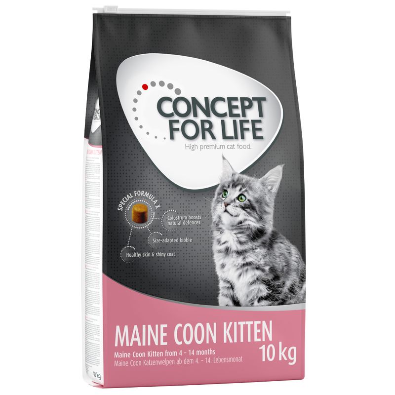 Sparpaket Concept for Life zu TOP-Preisen
