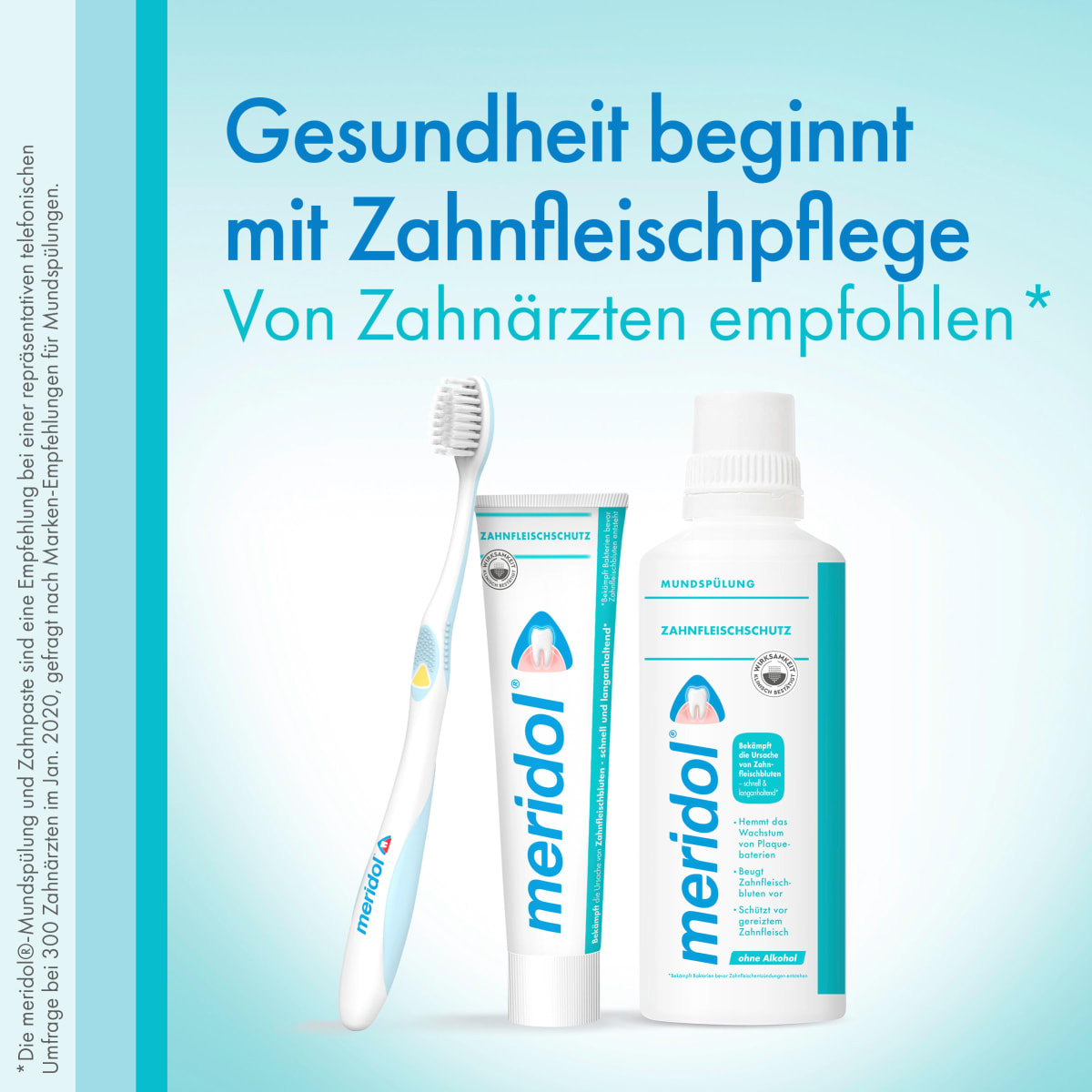 Zahnbürste Zahnfleischschutz sanft, 1 St