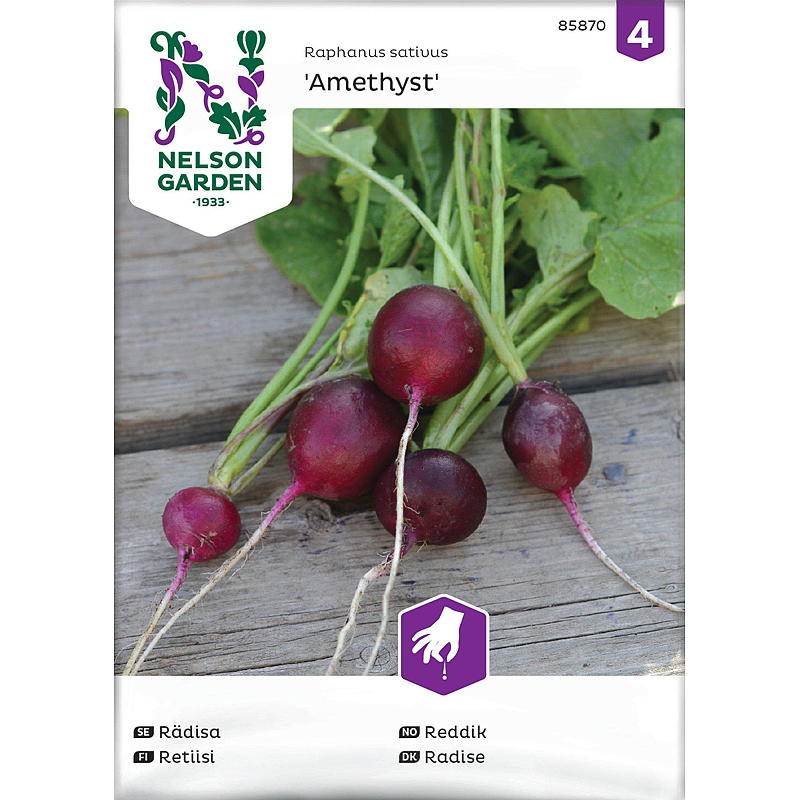 Nelson garden Frø Reddik Amethyst
