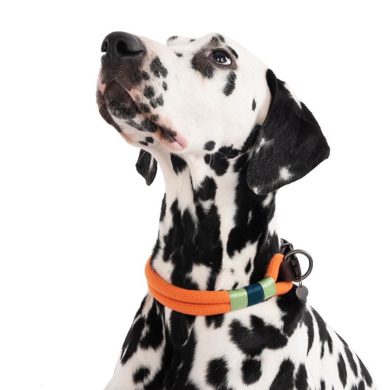 Nomad Tales Spirit Halsband, tangerine zu TOP-Preisen | bitiba %