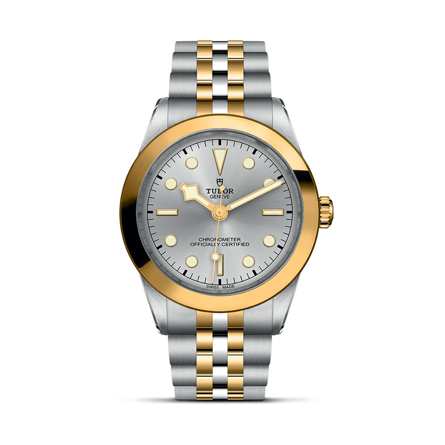Tudor Unisexuhr Black Bay 39 S&G