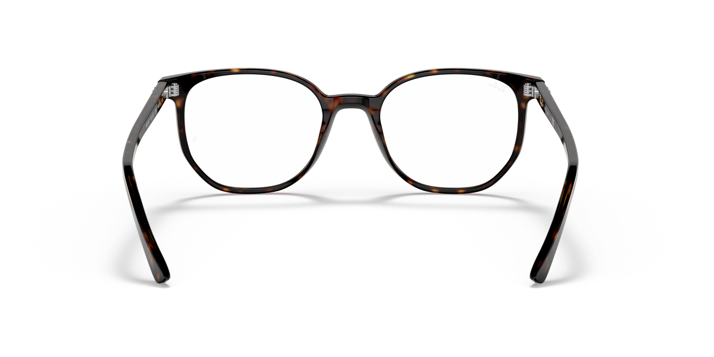 ELLIOT OPTICS - Lucido Havana