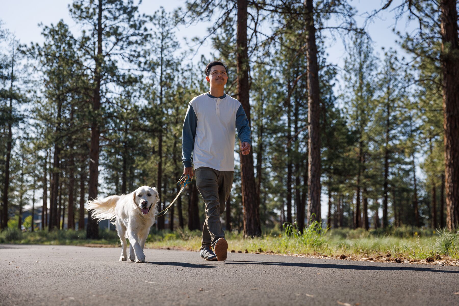 Ruffwear Hundeleinen Ruffwear Reflektierende Hundeleine Crag™ blau/ türkis/ beige/ braun