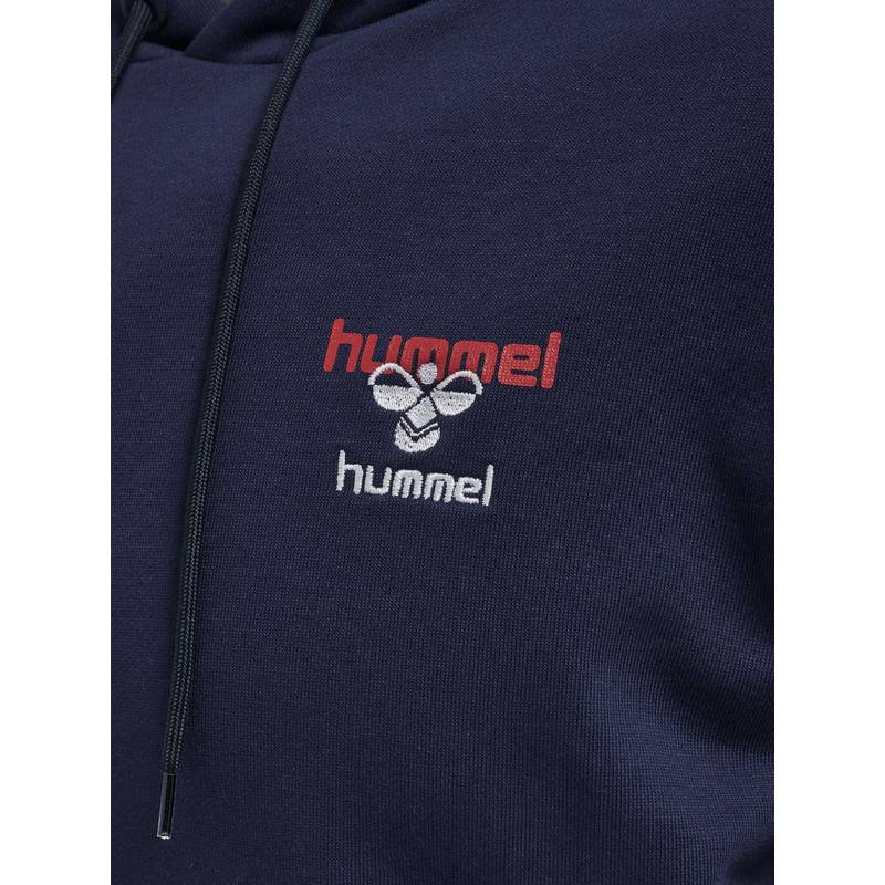 hummel hmlIC DAYTON HOODIE Hoodie