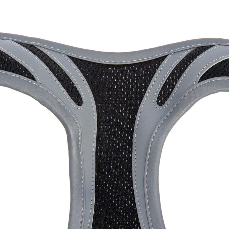 Hunde-Softgeschirr Feel Free + HUNTER Führleine Ecco Sport | bitiba