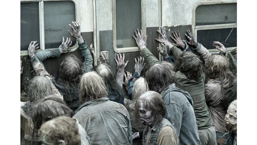 The Walking Dead - Staffel 11  [6 DVDs]