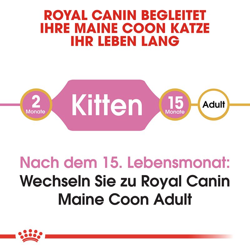 Royal Canin Maine Coon Kitten zu TOP-Preisen