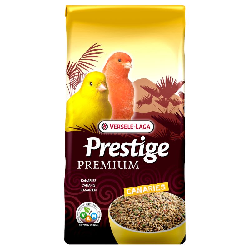 Prestige Premium Kanarien zu TOP-Preisen