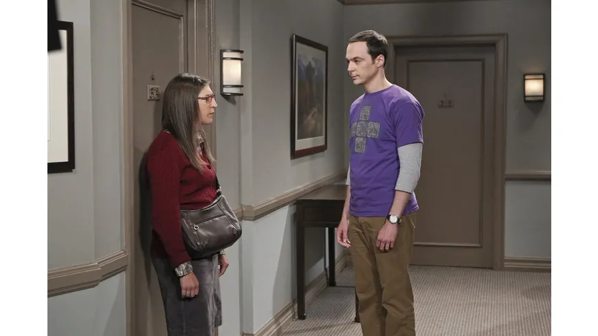 The Big Bang Theory - Staffel 9  [3 DVDs]