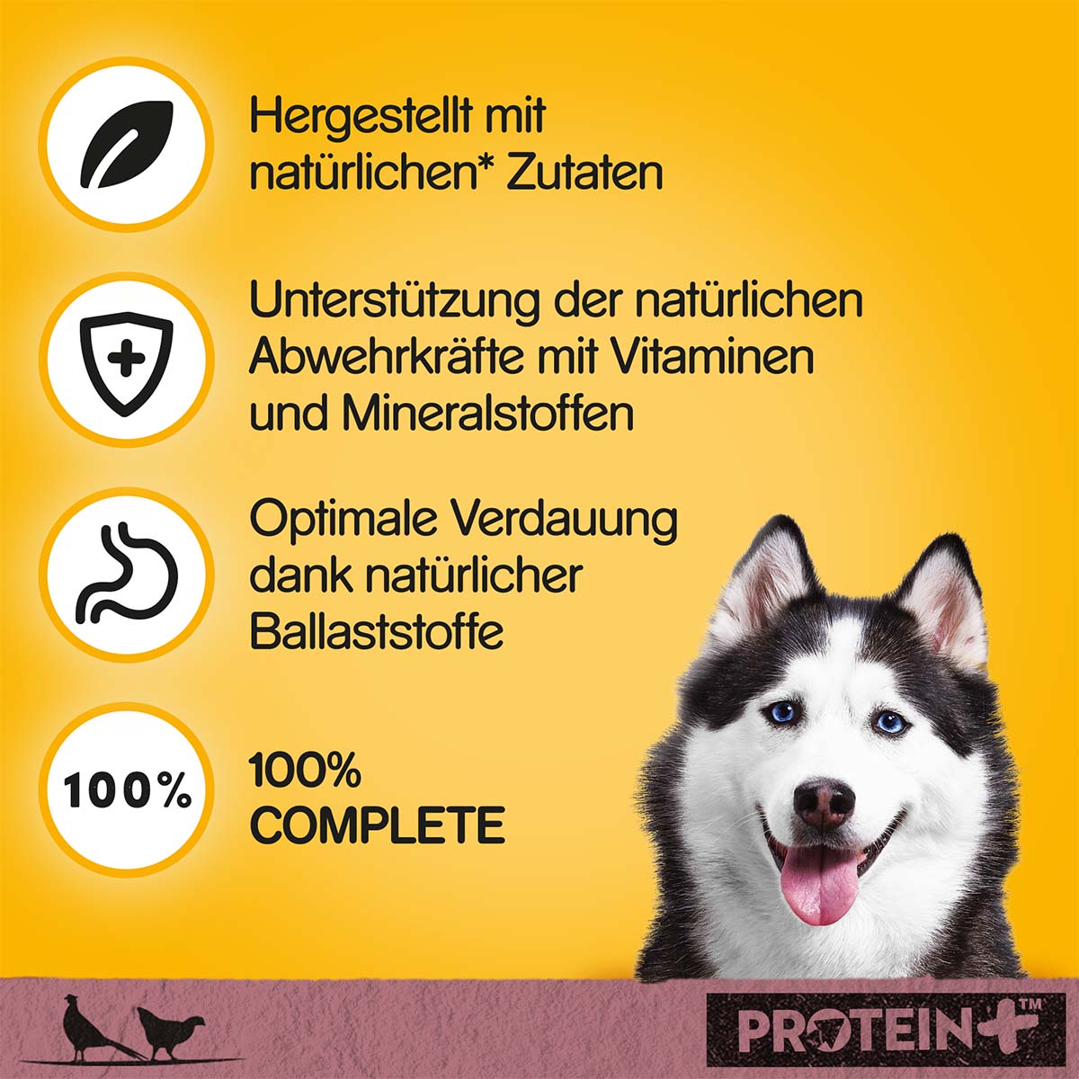 PEDIGREE Protein+ in Pastete Wild & Geflügel kaufen bei ZooRoyal