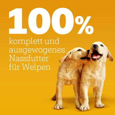 Pedigree Junior Frischebeutel Multipack