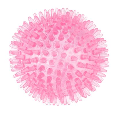 TIAKI Hundespielzeug Stacheliger Ball