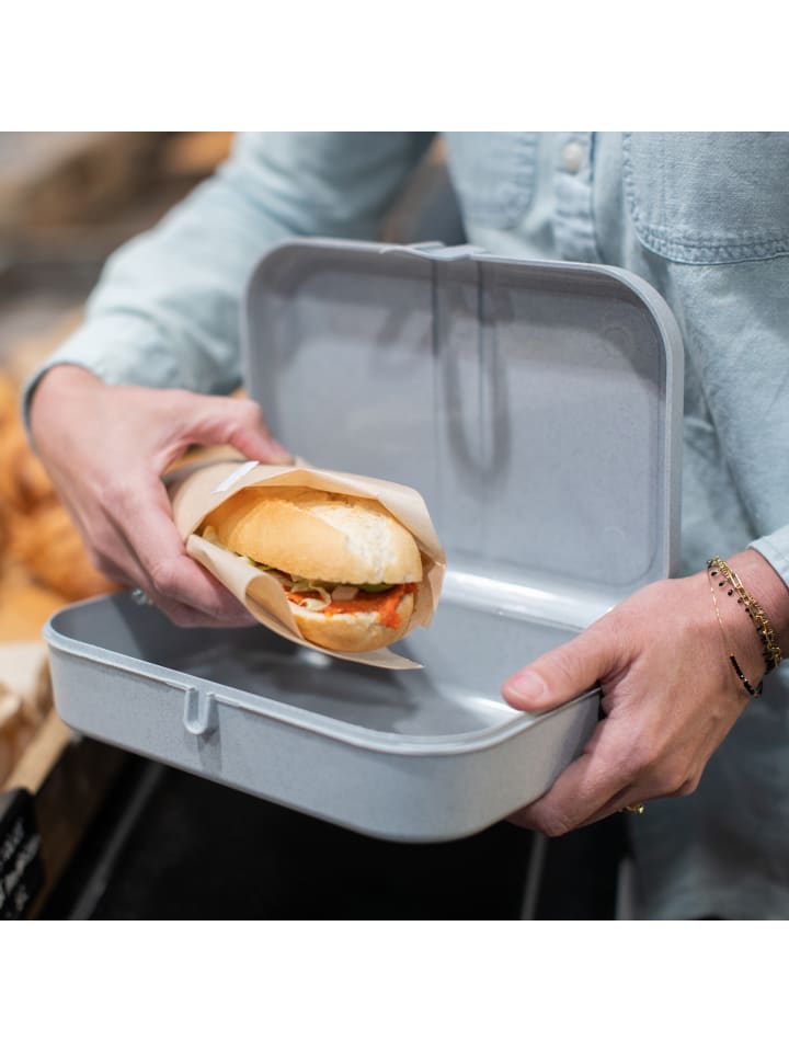 koziol PASCAL L * - Lunchbox mit Trennsteg in organic green günstig kaufen onesize