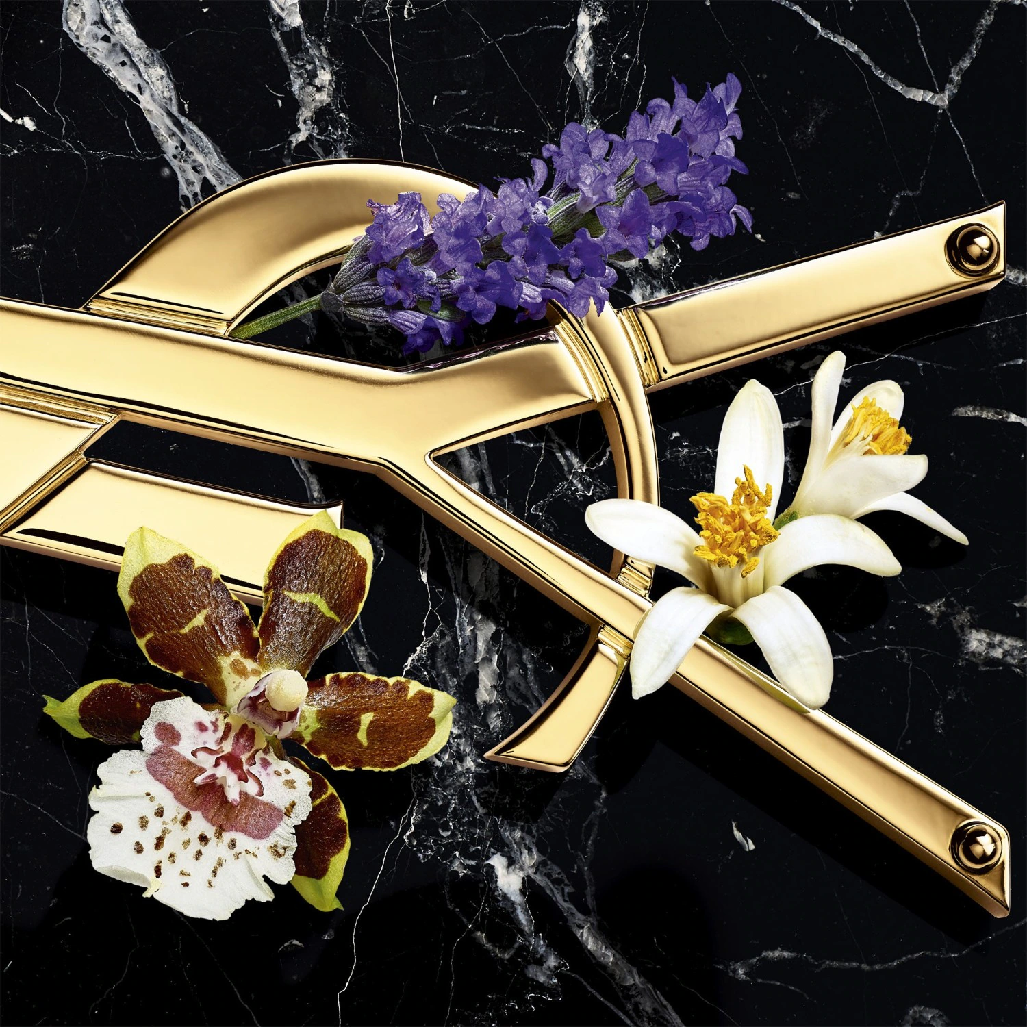 Yves Saint Laurent Intense