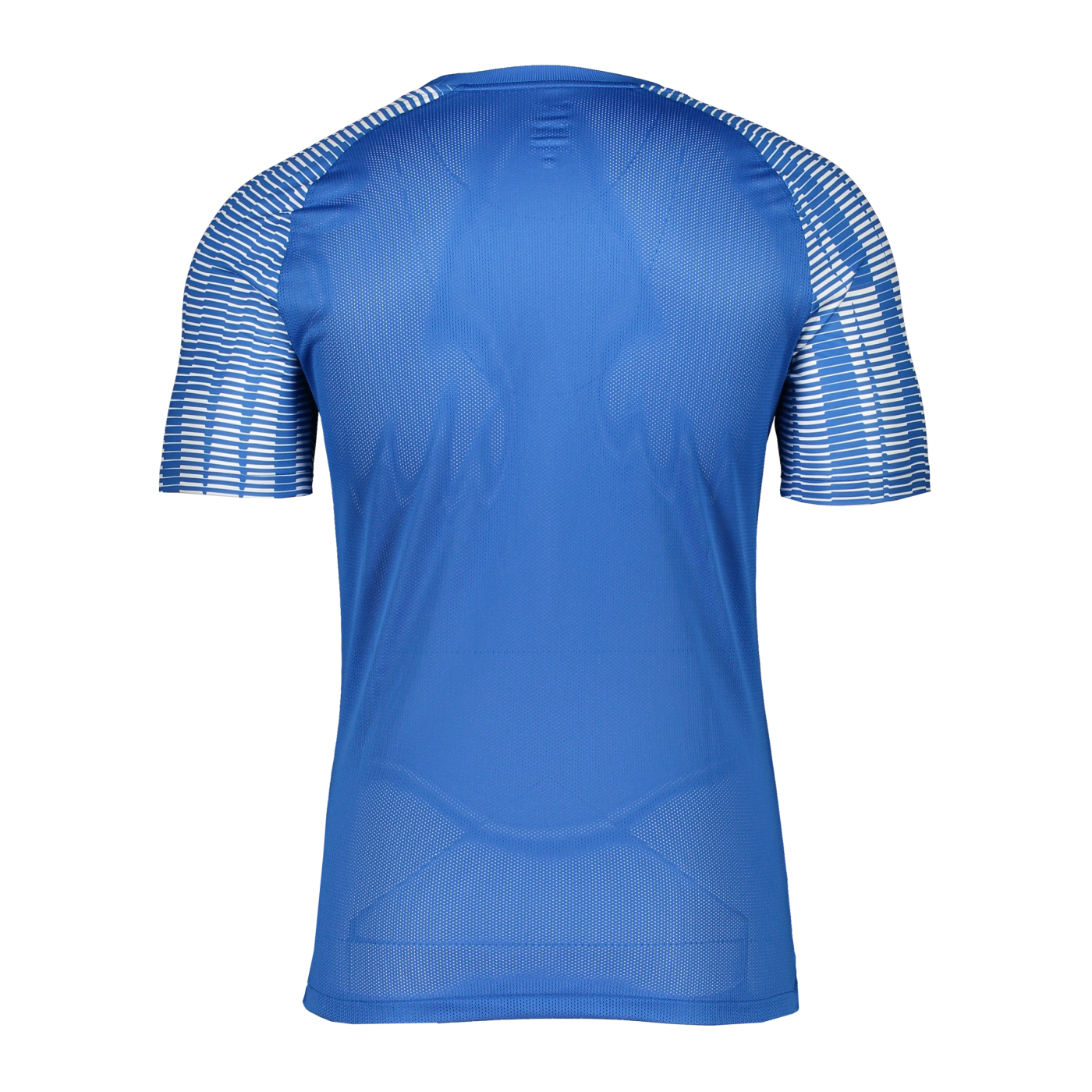 Nike Academy Trikot Blau Weiss F463