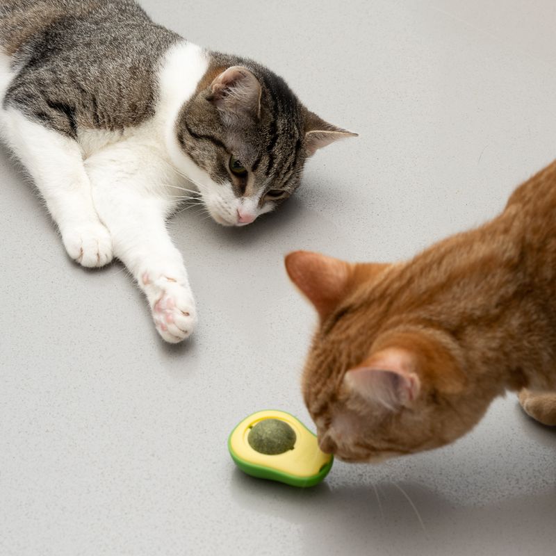 TIAKI Avocado mit Katzenminze-Ball zu TOP-Preisen