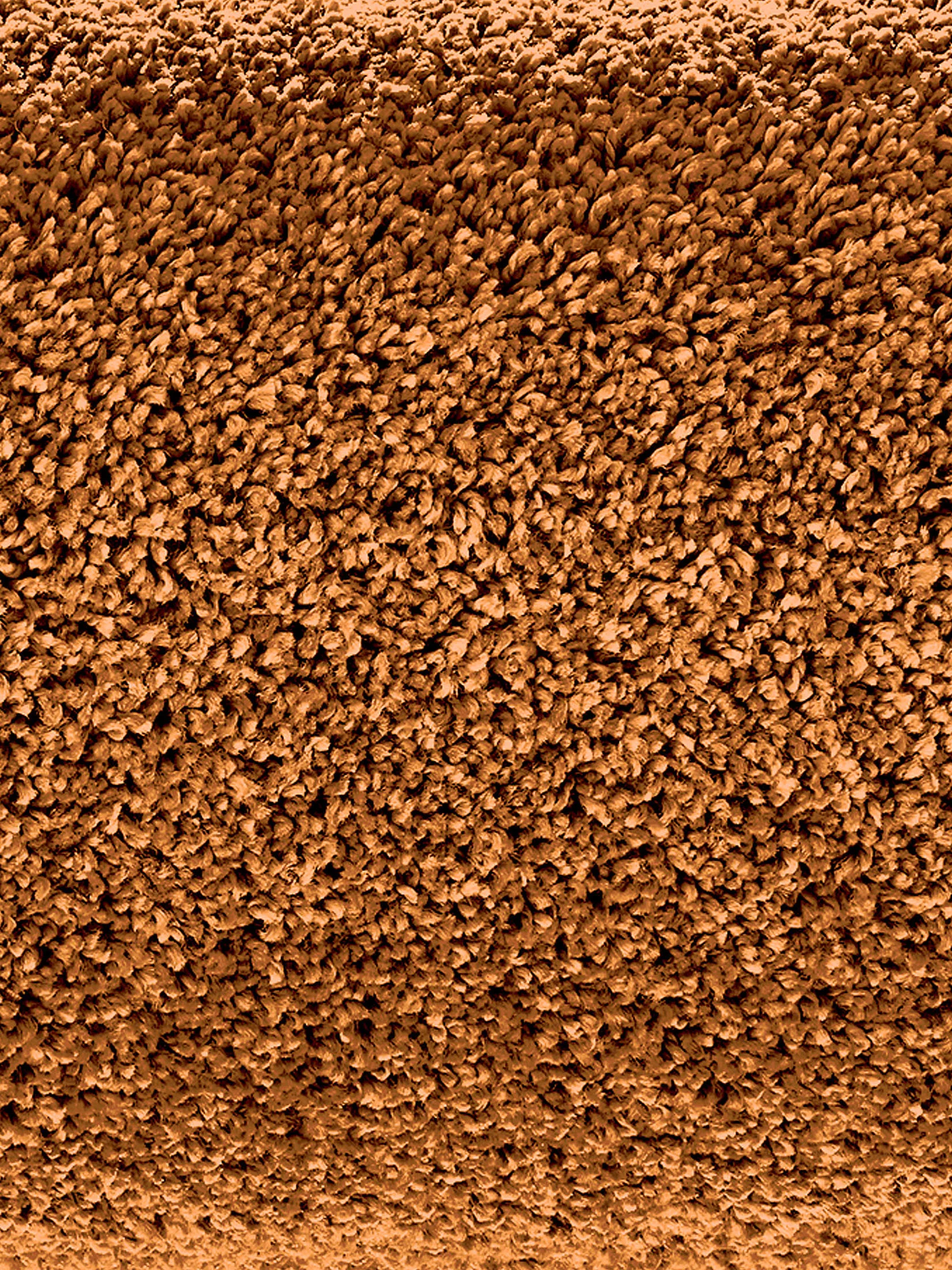 Lounge Hochflor-Teppich, Grün