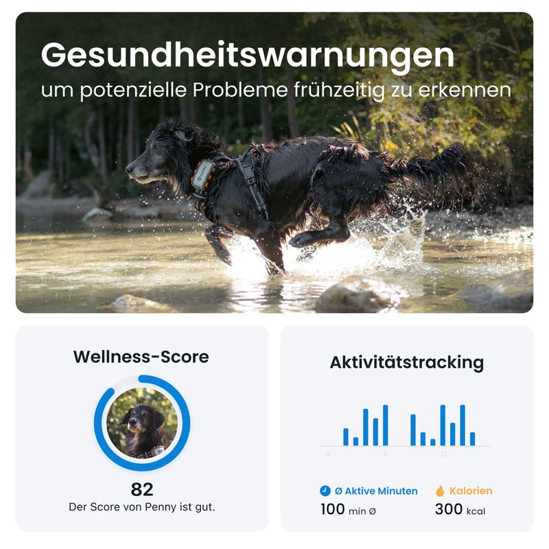 Tractive XL GPS Tracker für Hunde Adventure Edition