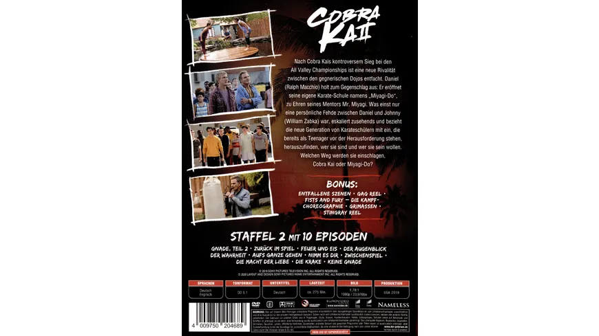 Cobra Kai - Staffel 2  [2 DVDs]