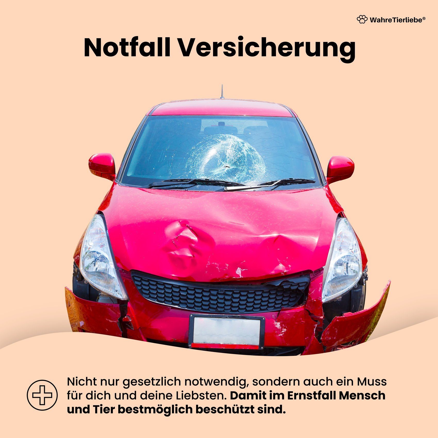 Wahre Tierliebe Hunde-Transportbox Hunde Autositz inkl. Sicherheitsgurt, Verschiedene Größen, Verschiedene Farben