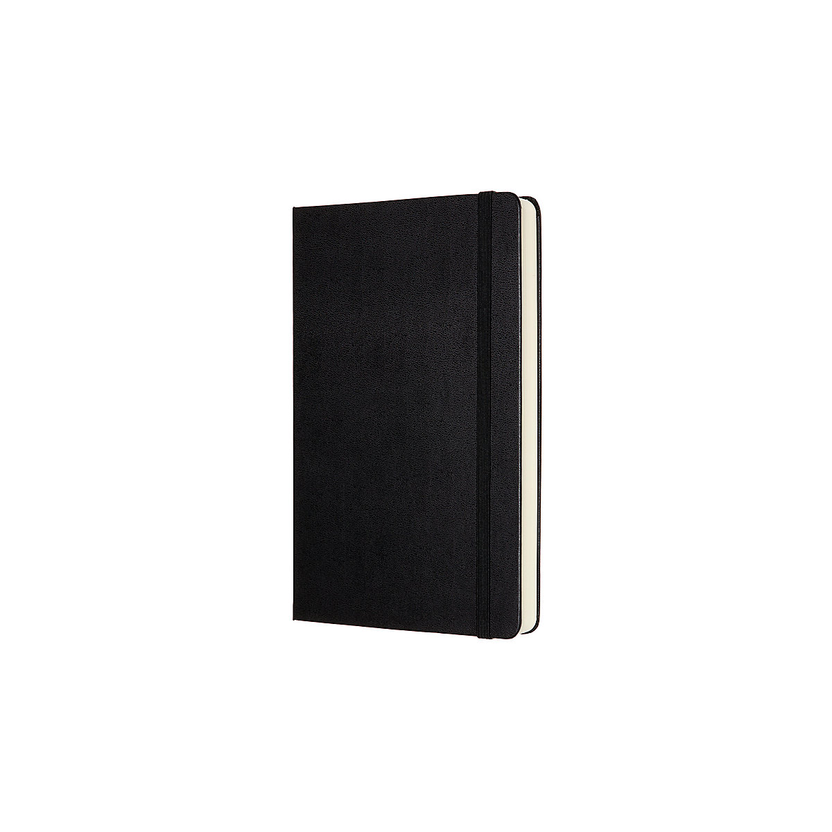 Notizbücher L/A5 - Blanko Notizbücher