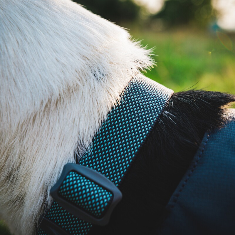 Ruffwear Halsband Hi & Light