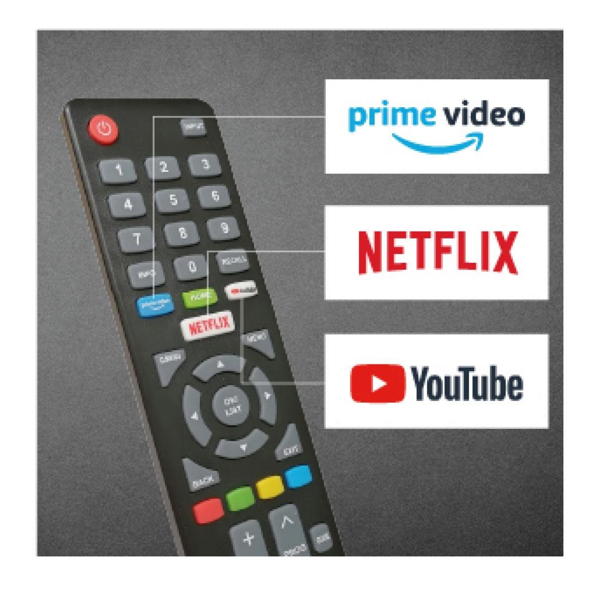 Dyon SMART 24 XT V3 LED-Fernseher (60 cm/24 Zoll, HD, Smart-TV)