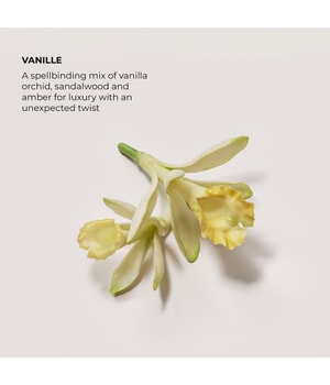 LAURA MERCIER Bath & Body Vanille Eau de Parfum-50 ml