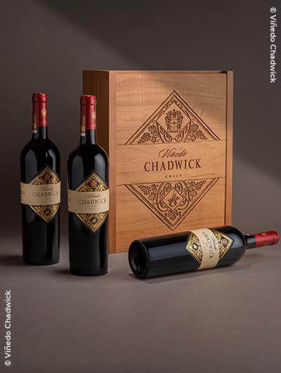 Caisse Viñedo Chadwick Vertical Library Edition 2023
