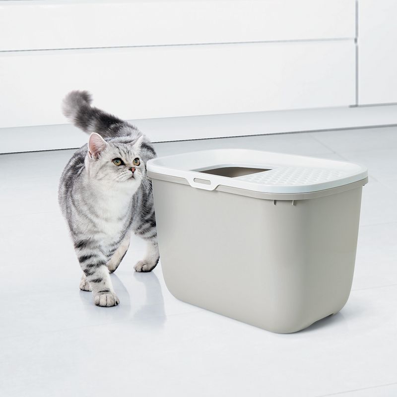 Savic Katzentoilette Hop In zu TOP-Preisen