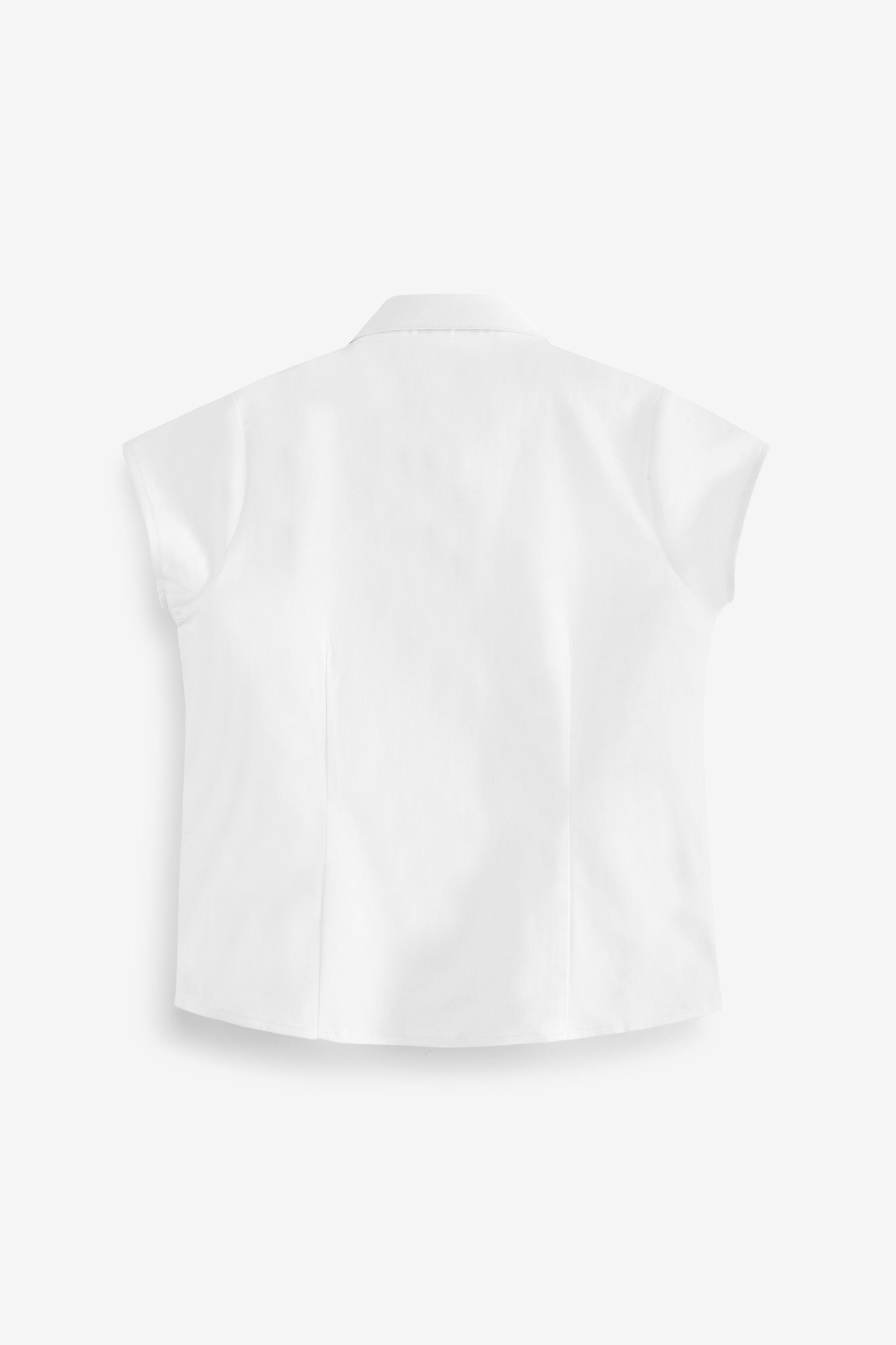 Next Kurzarmbluse Premium-T-Shirts mit rundem Kragen, 2er-Pack (2-tlg)