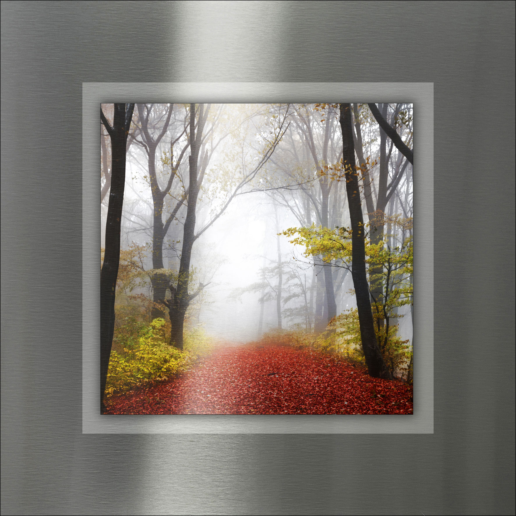 Pro ArtAludibond 50x50cm
