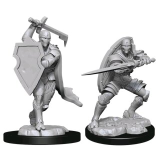 D&D Nolzur's Marvelous Miniatures - Warforged Fighter Male