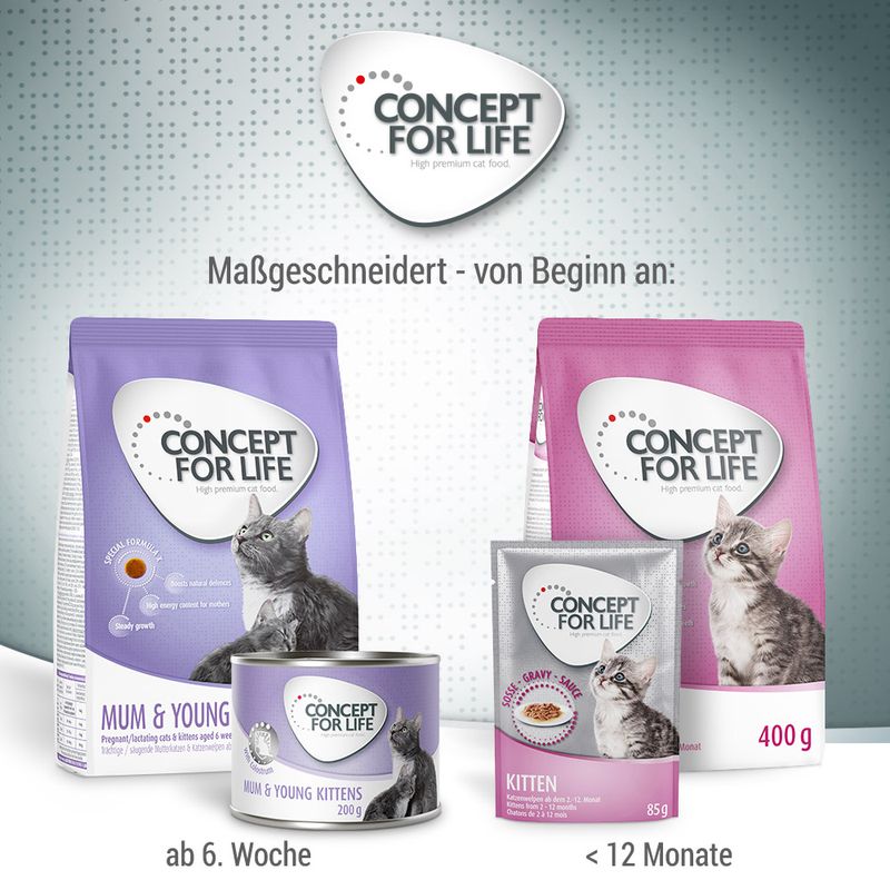Concept for Life Mum & Young Kittens Mousse