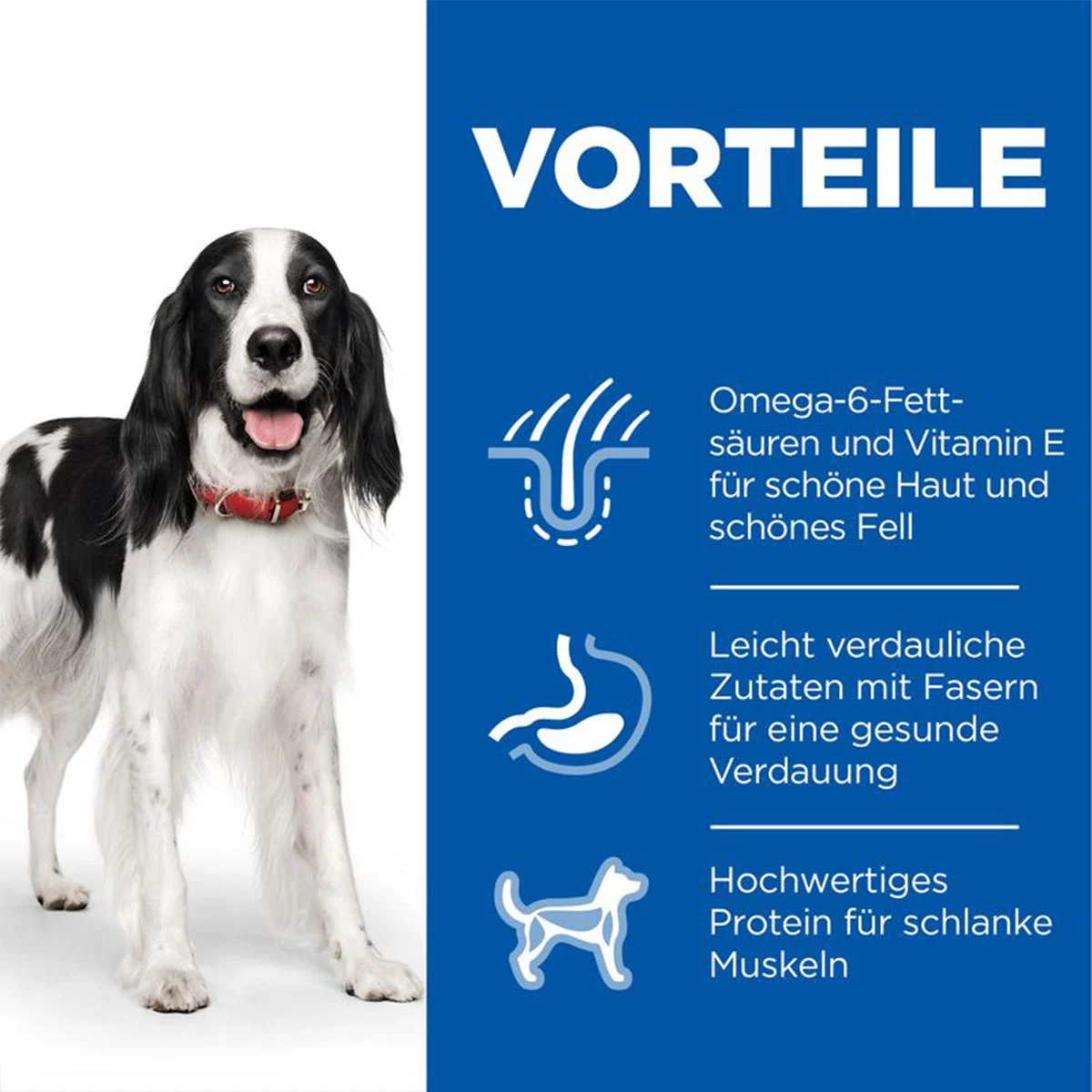 Hill's Science Plan Hund Medium Adult Huhn kaufen bei ZooRoyal
