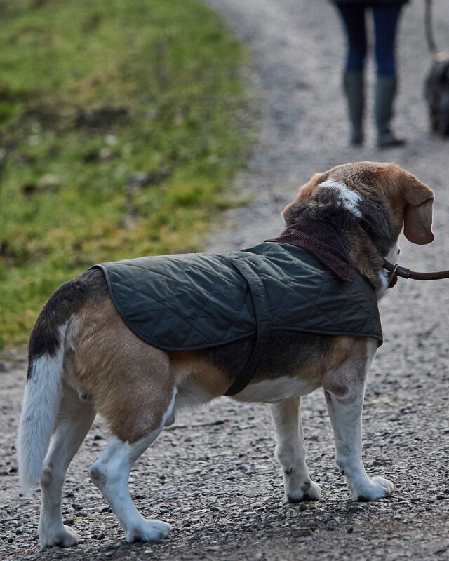 Barbour Hundemantel Quilted