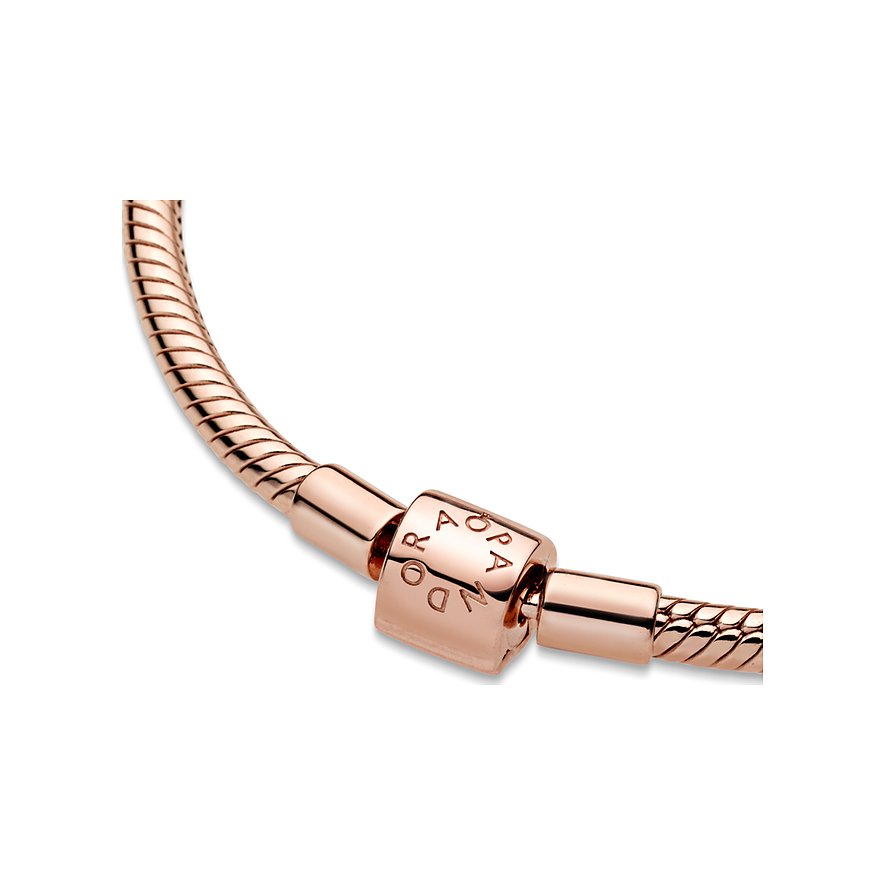Pandora Armband Moments