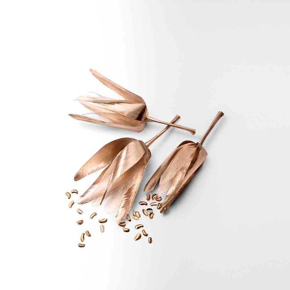 Tiffany & Co. Rose Gold Eau de Parfum Nat. Spray