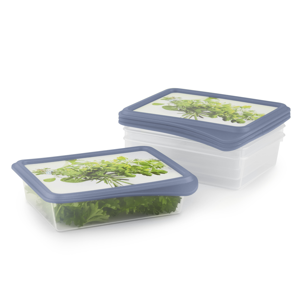 Gefrierdosen-Set Rondo 4-teilig